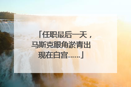 任职最后一天，马斯克眼角淤青出现在白宫……
