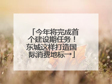 今年将完成首个建设期任务！东城这样打造国际消费地标→