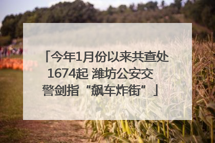 今年1月份以来共查处1674起 潍坊公安交警剑指“飙车炸街”