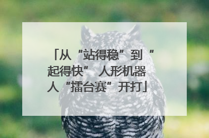 从“站得稳”到“起得快” 人形机器人“擂台赛”开打