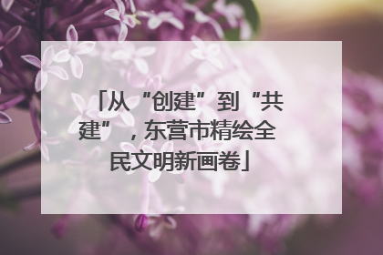 从“创建”到“共建”，东营市精绘全民文明新画卷