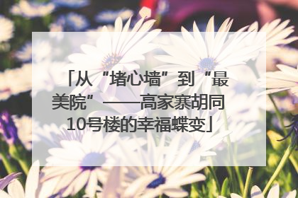 从“堵心墙”到“最美院”——高家寨胡同10号楼的幸福蝶变