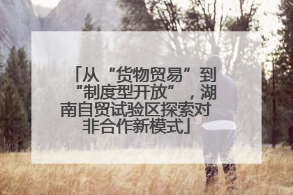 从“货物贸易”到“制度型开放”，湖南自贸试验区探索对非合作新模式