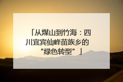从煤山到竹海：四川宜宾仙峰苗族乡的“绿色转型”