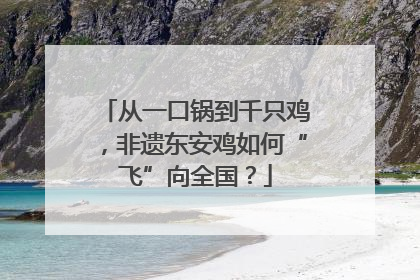 从一口锅到千只鸡，非遗东安鸡如何“飞”向全国？