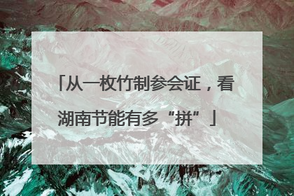 从一枚竹制参会证，看湖南节能有多“拼”