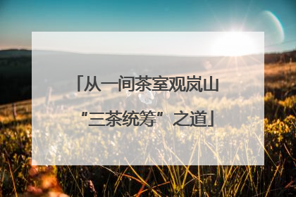 从一间茶室观岚山“三茶统筹”之道