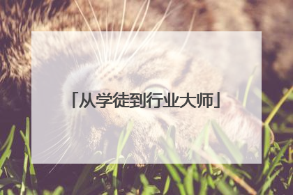 从学徒到行业大师
