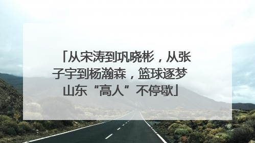 从宋涛到巩晓彬，从张子宇到杨瀚森，篮球逐梦山东“高人”不停歇