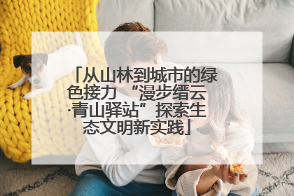 从山林到城市的绿色接力 “漫步缙云·青山驿站”探索生态文明新实践