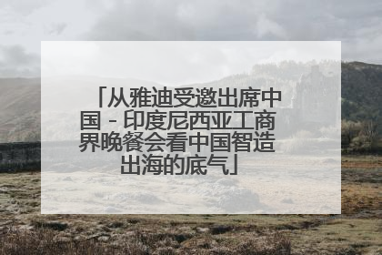 从雅迪受邀出席中国－印度尼西亚工商界晚餐会看中国智造出海的底气