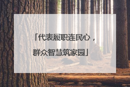 代表履职连民心，群众智慧筑家园