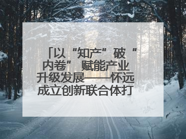 以“知产”破“内卷” 赋能产业升级发展——怀远成立创新联合体打造汽车零部件产业新高地