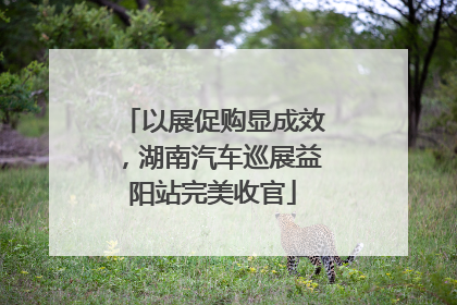 以展促购显成效，湖南汽车巡展益阳站完美收官