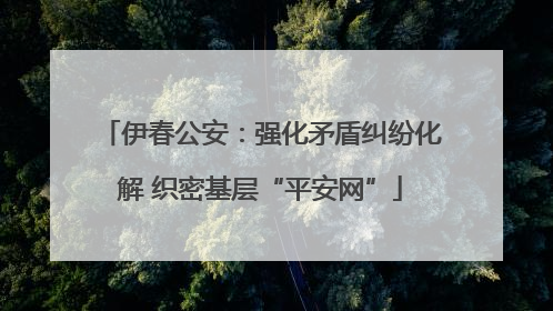伊春公安：强化矛盾纠纷化解 织密基层“平安网”