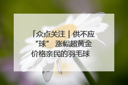 众点关注｜供不应“球” 涨幅超黄金 价格亲民的羽毛球为何身价飞涨？
