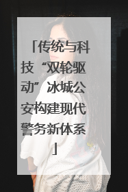 传统与科技“双轮驱动”冰城公安构建现代警务新体系