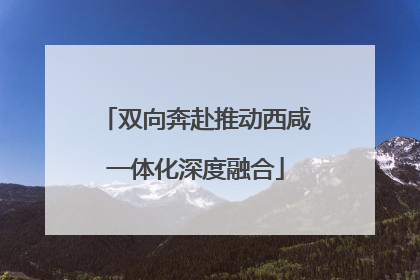 双向奔赴推动西咸一体化深度融合
