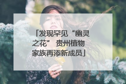 发现罕见“幽灵之花” 贵州植物家族再添新成员