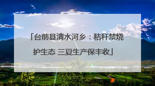 台前县清水河乡：秸秆禁烧护生态 三夏生产保丰收