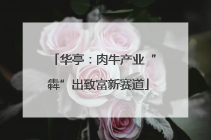 华亭：肉牛产业“犇”出致富新赛道