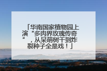 华南国家植物园上演“多肉界玫瑰传奇”，从呆萌树干到炸裂种子全是戏！