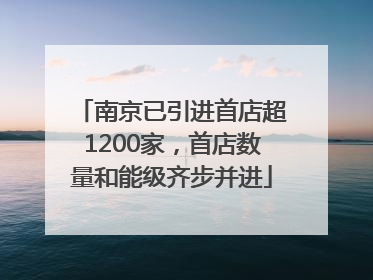 南京已引进首店超1200家，首店数量和能级齐步并进