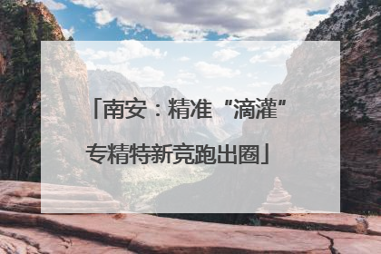 南安：精准“滴灌”专精特新竞跑出圈