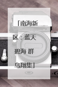 南海新区：蓝天碧海 群鸟翔集