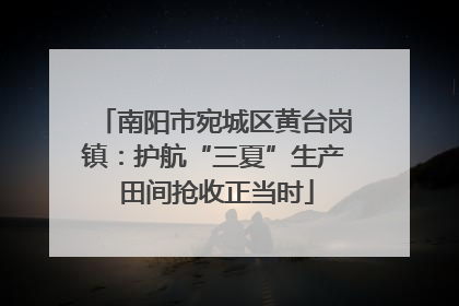 南阳市宛城区黄台岗镇：护航“三夏”生产 田间抢收正当时