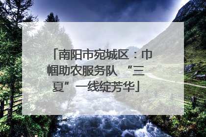 南阳市宛城区：巾帼助农服务队 “三夏”一线绽芳华