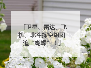 卫星、雷达、飞机、北斗探空组团追“蝴蝶”！