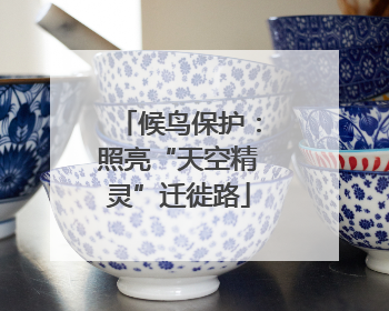 候鸟保护：照亮“天空精灵”迁徙路