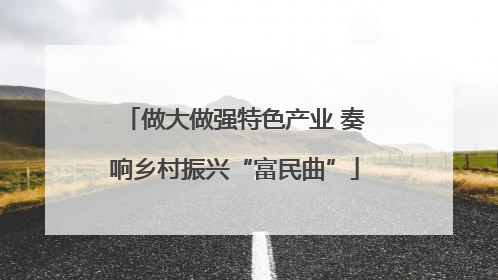 做大做强特色产业 奏响乡村振兴“富民曲”