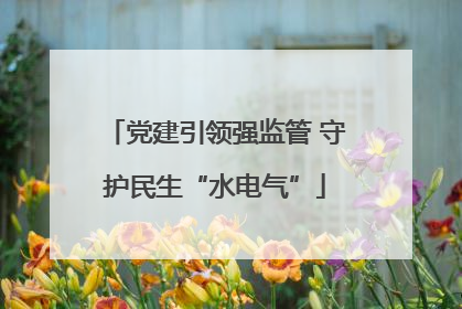 党建引领强监管 守护民生“水电气”