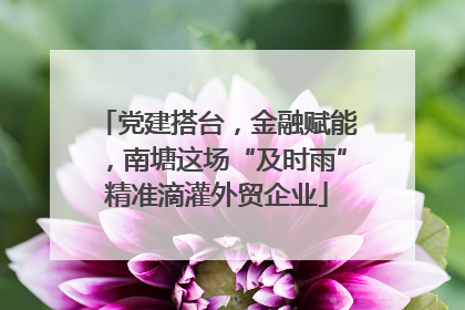 党建搭台，金融赋能，南塘这场“及时雨”精准滴灌外贸企业