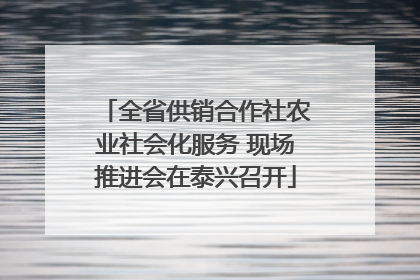 全省供销合作社农业社会化服务 现场推进会在泰兴召开