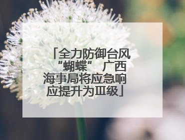 全力防御台风“蝴蝶” 广西海事局将应急响应提升为Ⅲ级