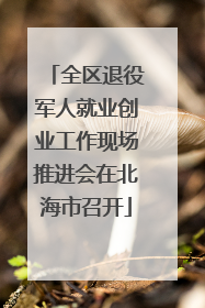 全区退役军人就业创业工作现场推进会在北海市召开