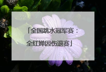 全国跳水冠军赛：全红婵因伤退赛