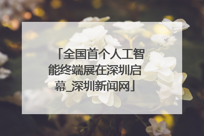 全国首个人工智能终端展在深圳启幕_深圳新闻网
