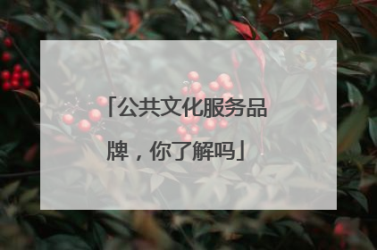 公共文化服务品牌，你了解吗