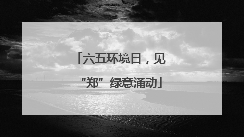 六五环境日，见“郑”绿意涌动