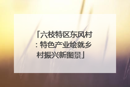 六枝特区东风村：特色产业绘就乡村振兴新图景