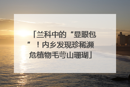 兰科中的“显眼包”！内乡发现珍稀濒危植物毛萼山珊瑚