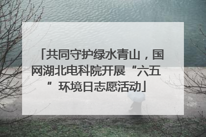 共同守护绿水青山，国网湖北电科院开展“六五”环境日志愿活动