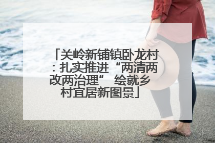 关岭新铺镇卧龙村：扎实推进“两清两改两治理” 绘就乡村宜居新图景