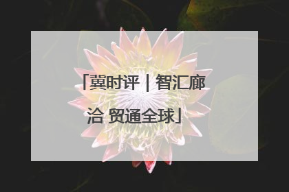 冀时评｜智汇廊洽 贸通全球