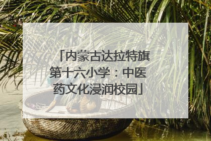 内蒙古达拉特旗第十六小学：中医药文化浸润校园