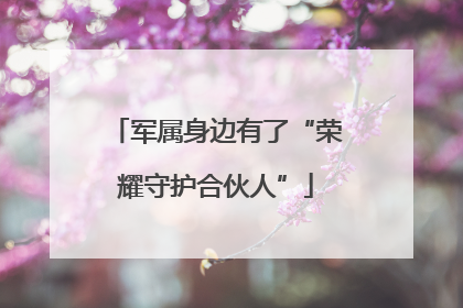 军属身边有了“荣耀守护合伙人”